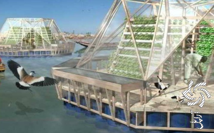 با استفاده از انرژی تجدید پذیر؛ گلخانه دریایی در جنوب کشور احداث می‌شود!برق خورشیدی سولار